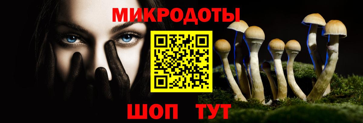 Галлюциногенные грибы Magic Shrooms  Вход с VPN  Чайковский 